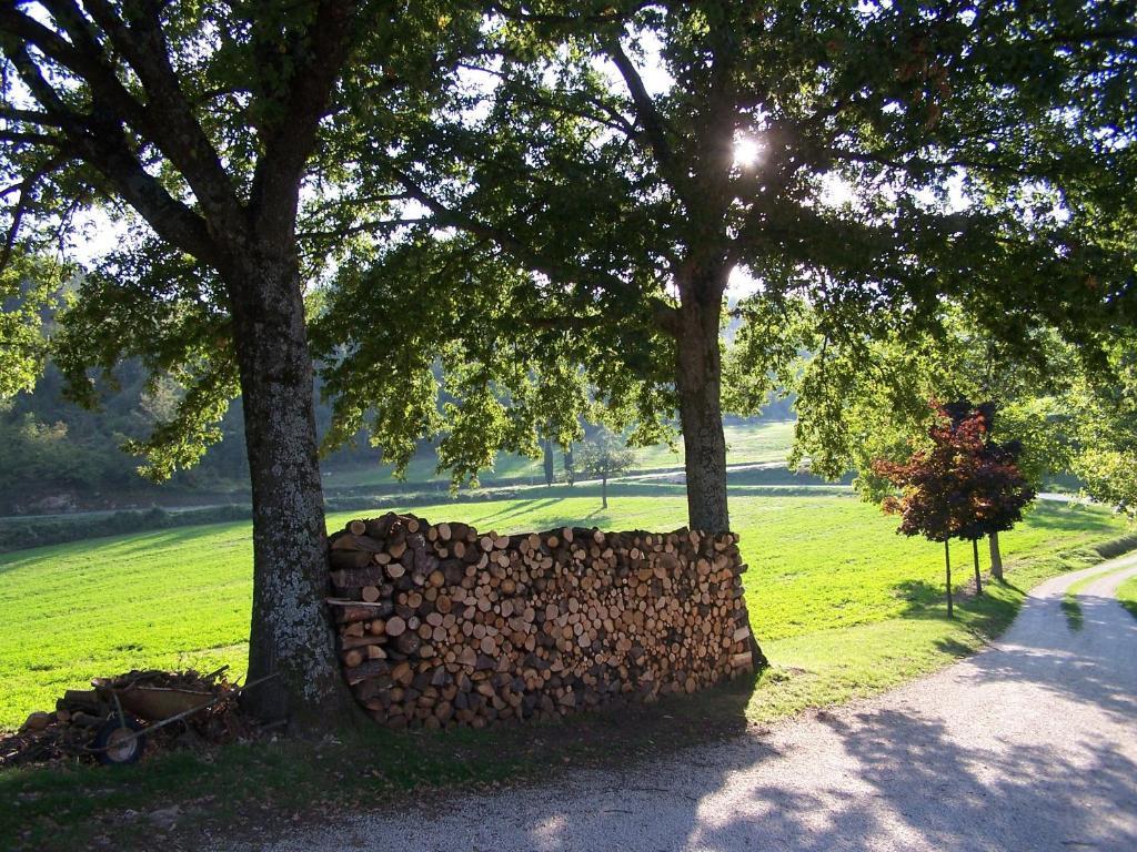 Agriturismo Fontandrone Villa Pieve Santo Stefano Luaran gambar